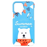 iPhone 12/12 Pro ハードカバーケース(マット)